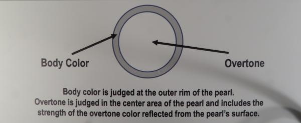 pw Instruction set (2)